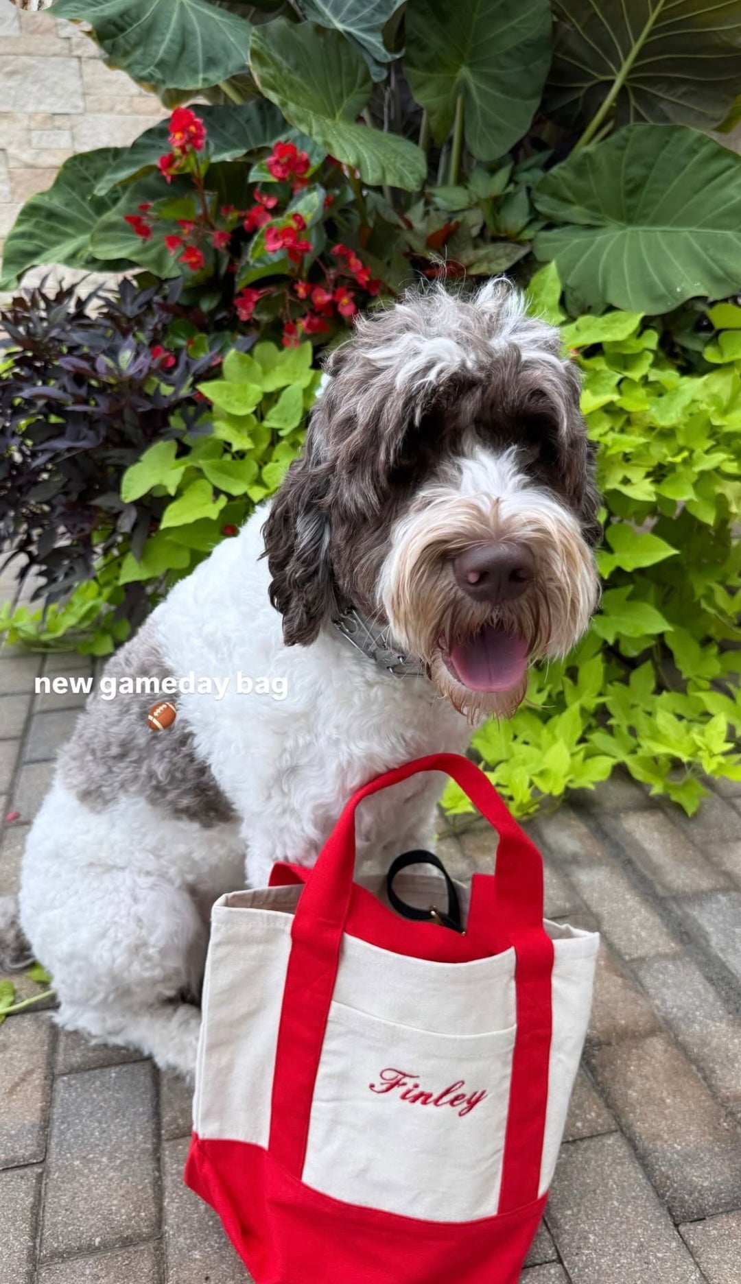 Small Tote Bag